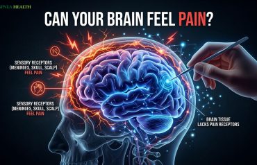 Can your brain feel pain